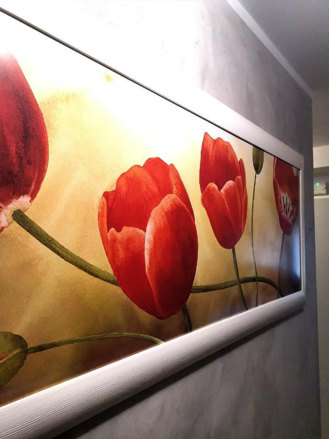城堡酒店 里米尼 外观 照片